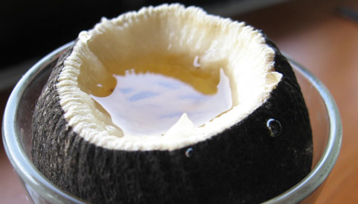 Lekovito bilje: Rotkva