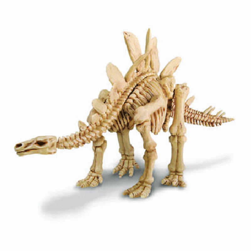 Iskopaj Dino Stegosaurus 4M maketa, 032/132 