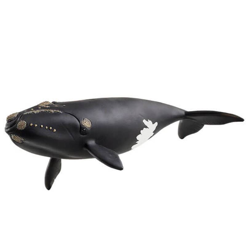 North Atlantic Right Whale Schleich 14878 