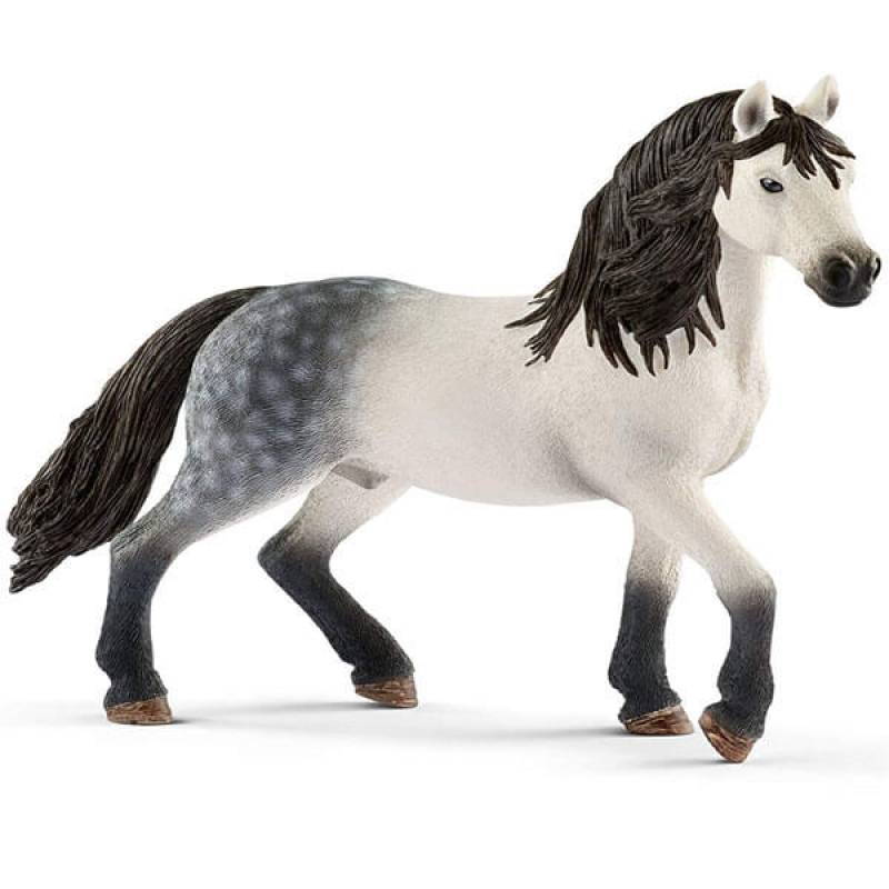 Andalusian pastuv 13821 