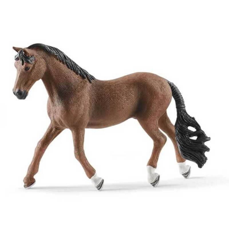 Trakehner pastuv 13909 