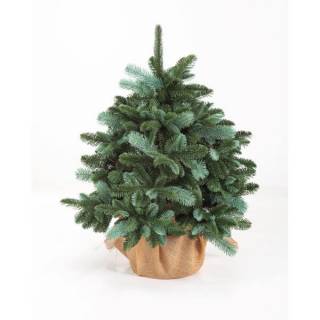 Jelka Alpi 3D 80cm, 23302 