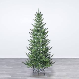 Jelka Cedar Pine 240cm 0009260 