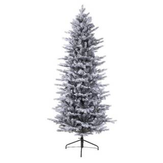 Novogodišnja jelka Frosted Grandis Fir 210cm 