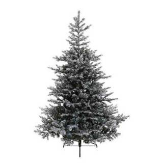 Novogodišnja jelka Grandis fir snowy 120cm 