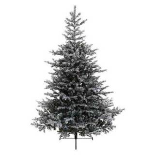 Novogodišnja jelka Grandis fir snowy 180cm 