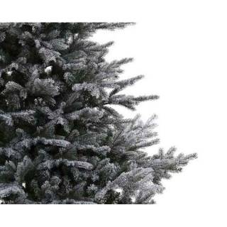 Novogodišnja jelka Grandis fir snowy 180cm 