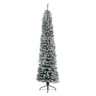 Novogodišnja jelka Pencil pine snowy 240cm 