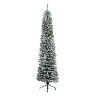 Novogodišnja jelka Pencil pine snowy 300cm 