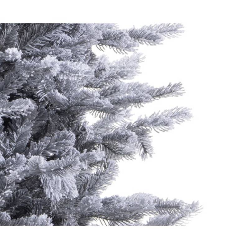 Novogodišnja jelka Frosted Grandis Fir 180cm 