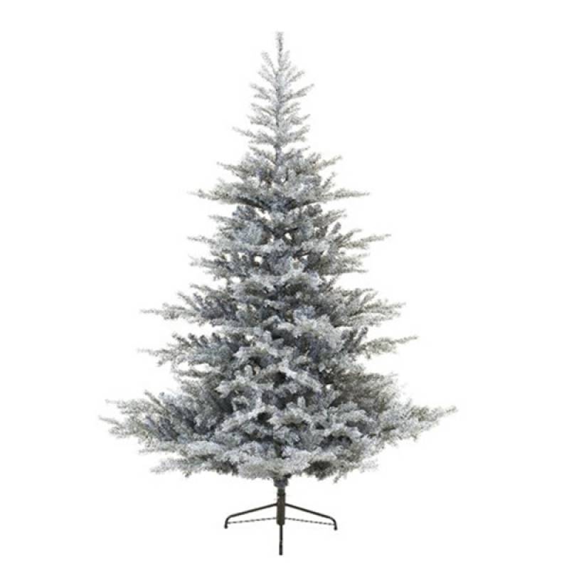 Novogodišnja jelka Frosted Grandis Fir 210cm 