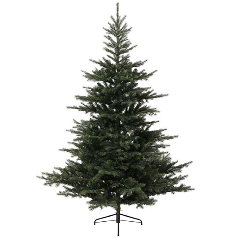 Novogodišnja jelka Grandis Fir 150cm 