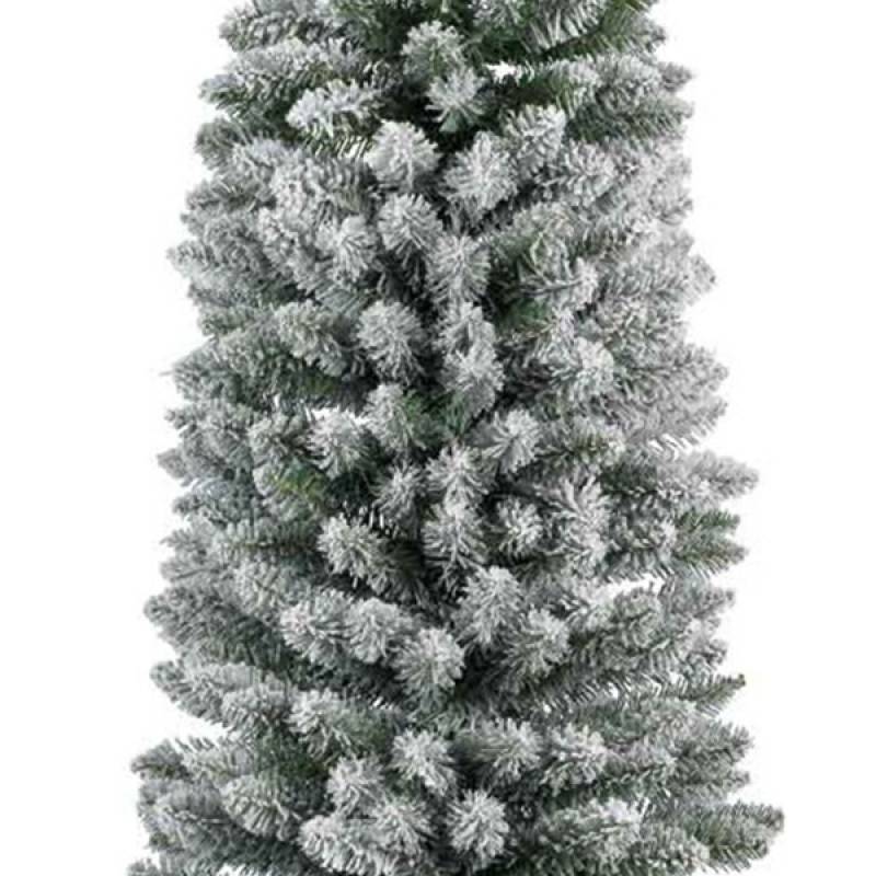 Novogodišnja jelka Pencil pine snowy 300cm 