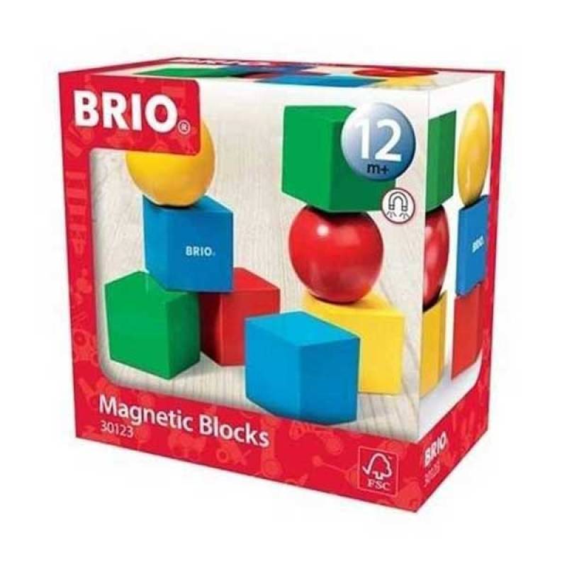 Magnetne kocke Brio BR30123 