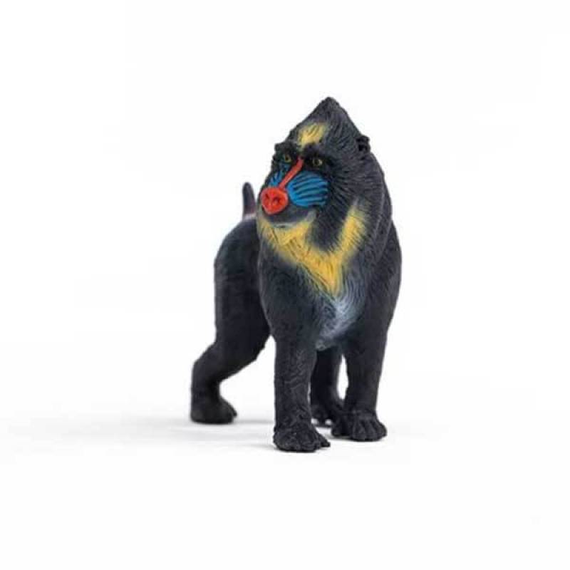Mandrill 14856 