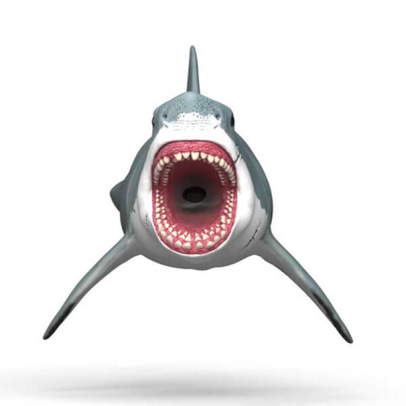 Megalodon 15055 