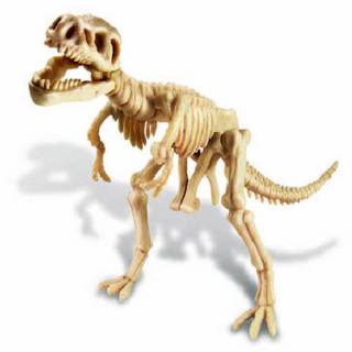 Iskopaj Dinosaurusa T-REX 4M03221 