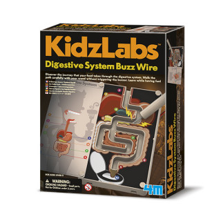 Kidz Labs-Digestive System Buz 4M32546 