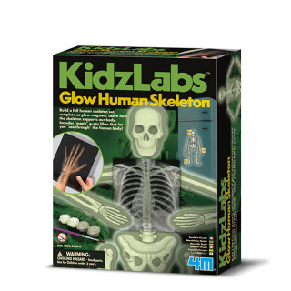 Kidz Labs - Upoznaj ljudske organe 4M03375 
