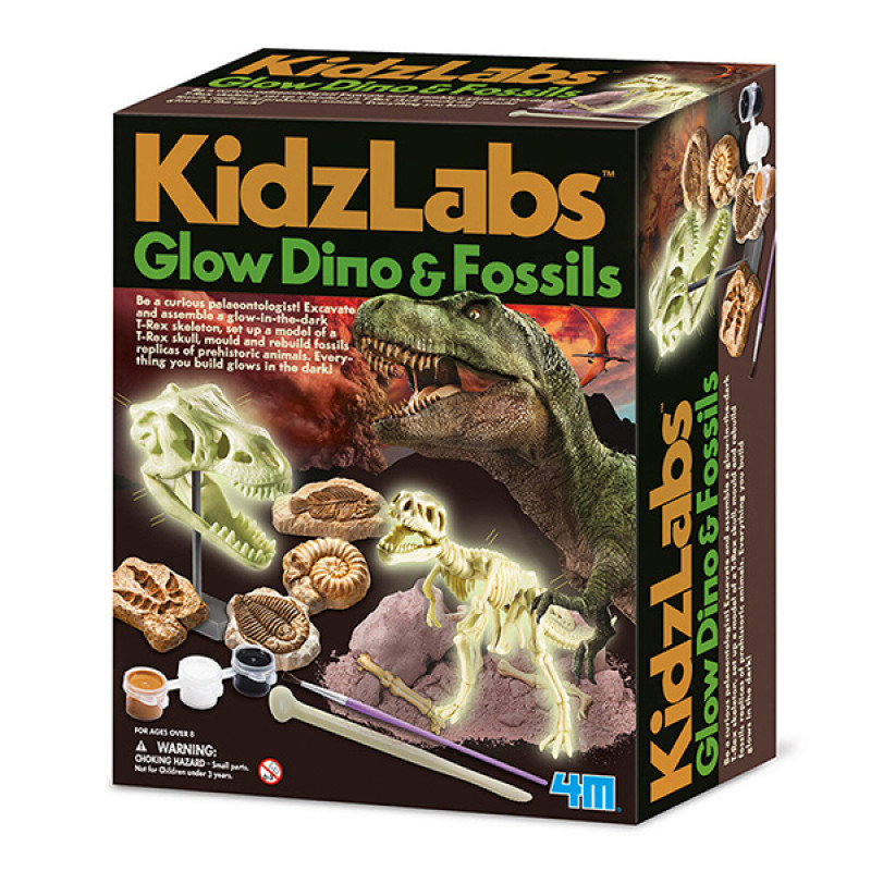 Kidzlabs Glow Dino Fossils 4M05528 