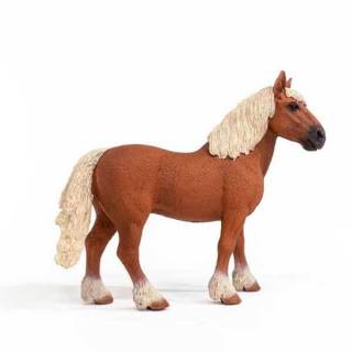 Islandski poni pastuv 13943 