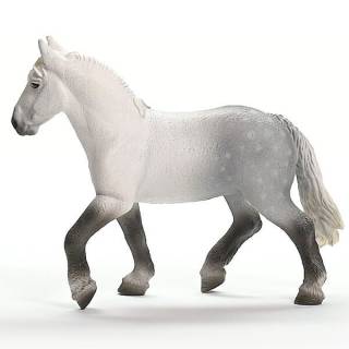 Percheron kobila 13971 