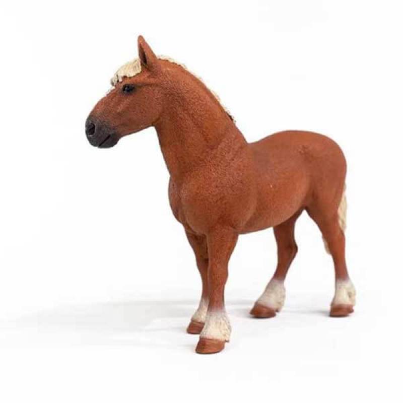 Islandski poni pastuv 13943 