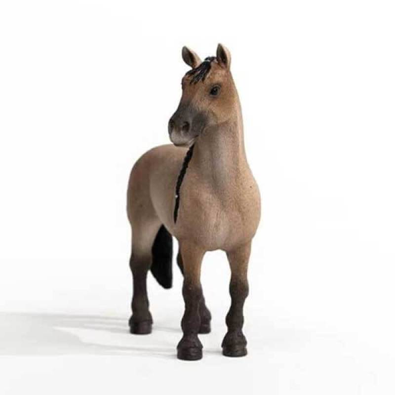 Criollo Definitivo kobila 13948 