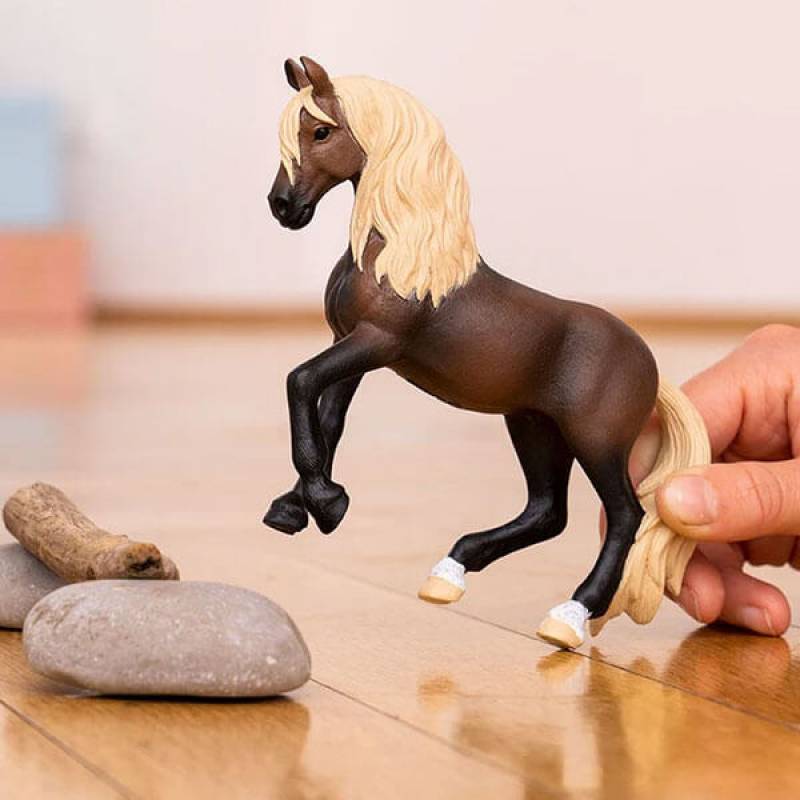 Pastuv Peruvian Paso 13952 