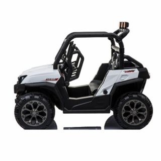 Bagi (quad) dvosed, model 309 BELI
