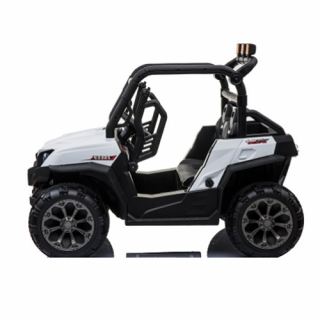 Bagi (quad) dvosed, model 309 BELI 