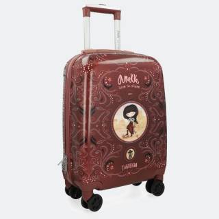 Kofer Anekke Arizona 94103, manji 