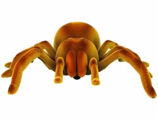 Tarantula R/C 330606 