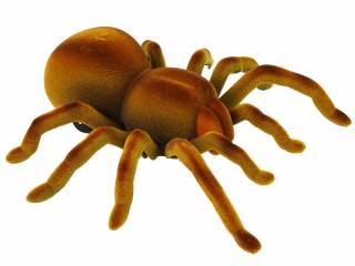 Tarantula R/C 330606 