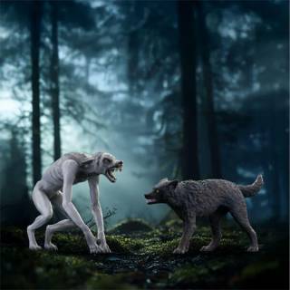 Wizarding World Werewolf vs Animagus - Harry Potter 14906 