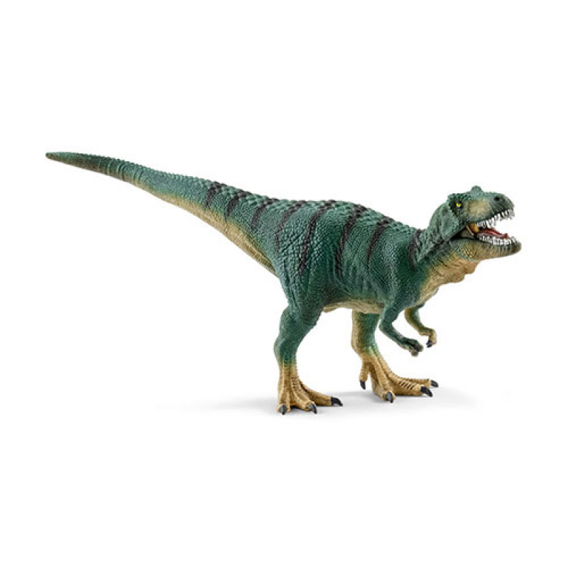 Thyranosaurus rex juvenile 