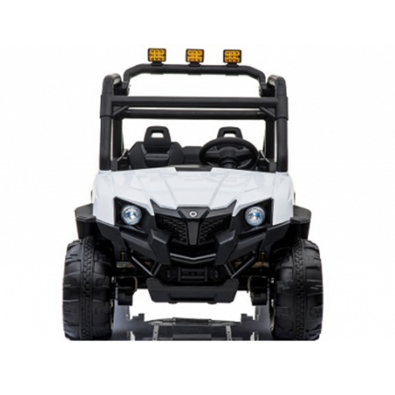 Bagi (quad) dvosed, model 309 BELI