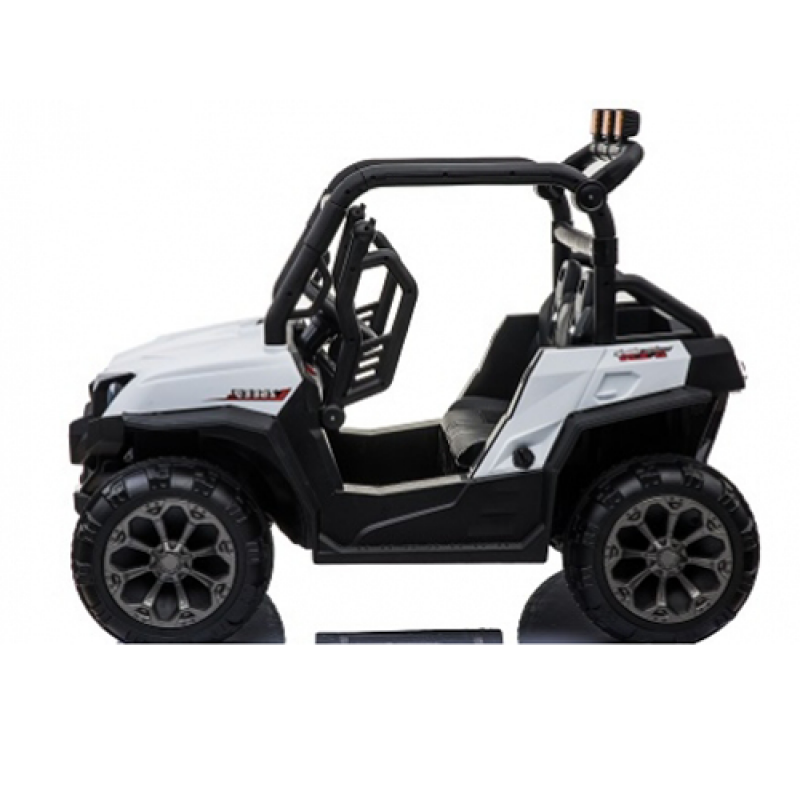 Bagi (quad) dvosed, model 309 BELI