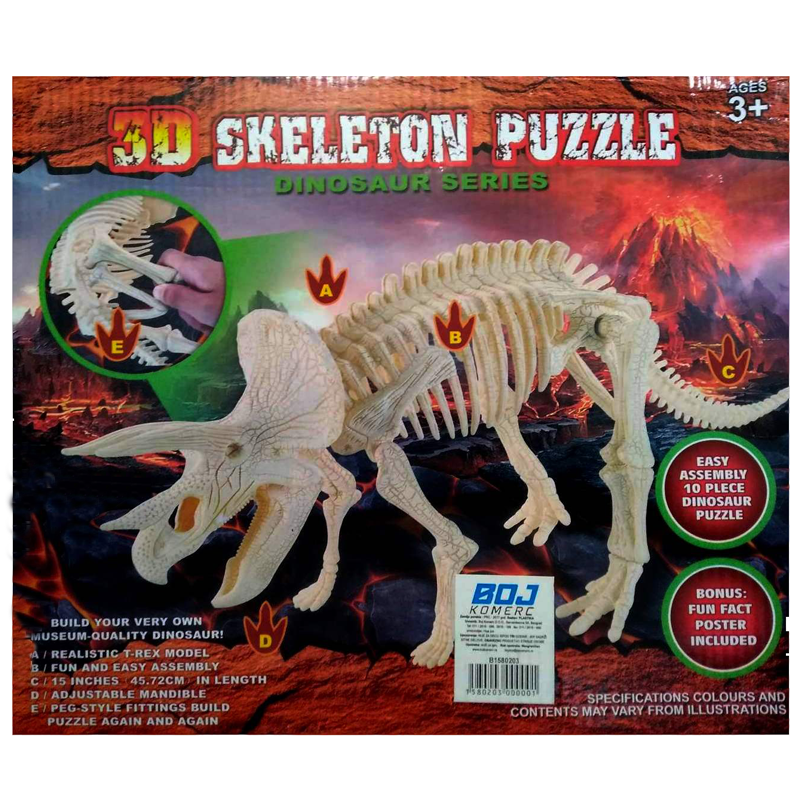 3D puzzle - Skeleton Dinosaurus 