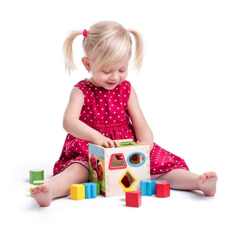 Kutija sa razlicitim oblicima 