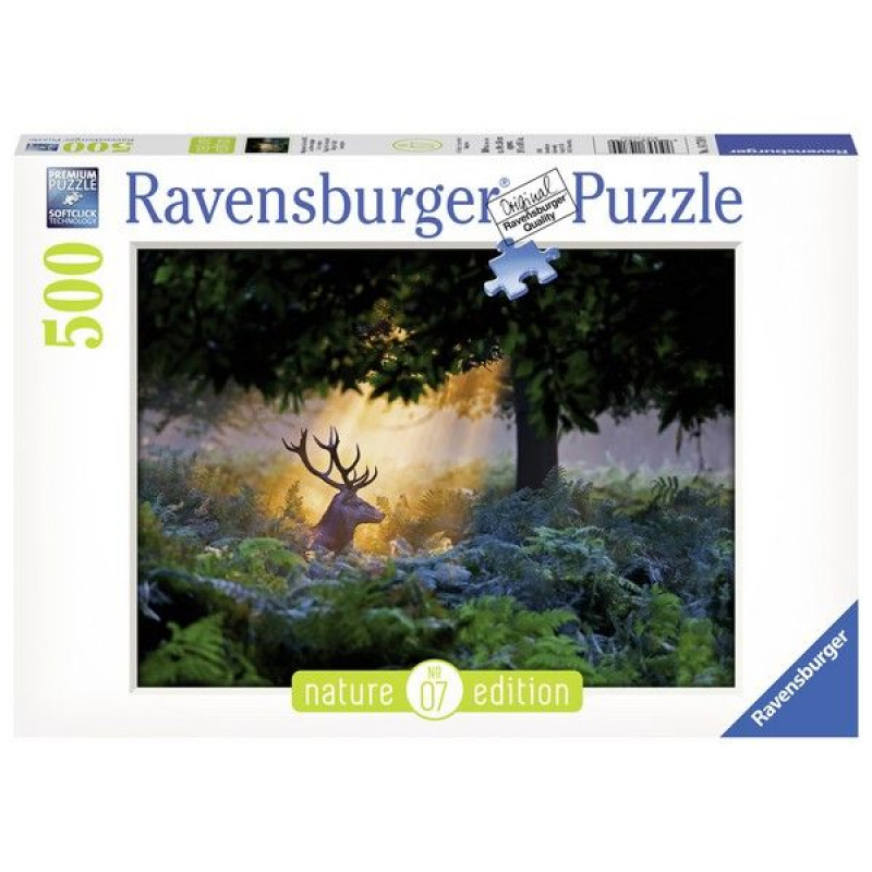 Ravensburger puzzle (slagalice) - Magična scena RA14719 