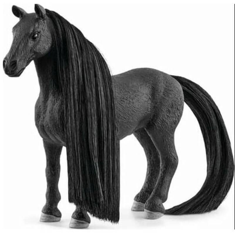Beauty Horse Criollo Definitivo kobila 42581 