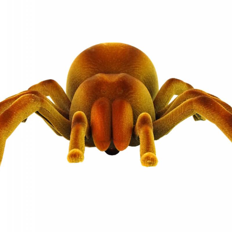 Tarantula R/C 330606 