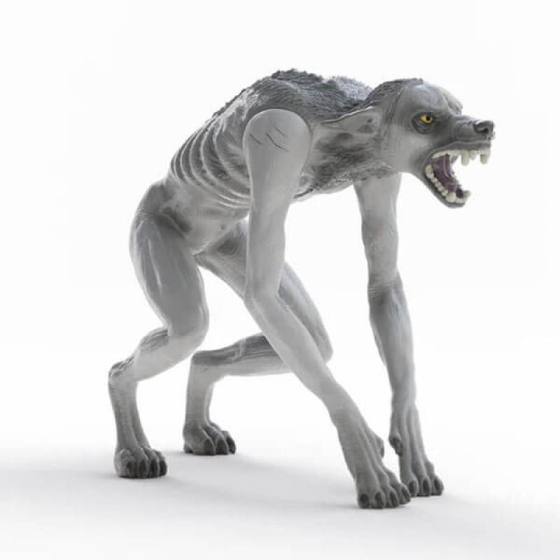 Wizarding World Werewolf vs Animagus - Harry Potter 14906 