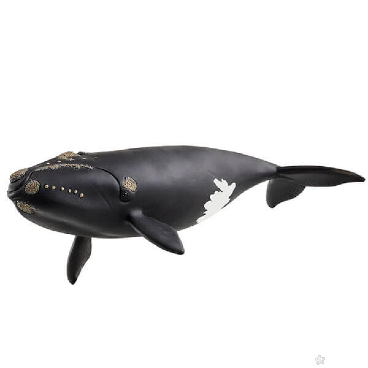 North Atlantic Right Whale Schleich 14878 
