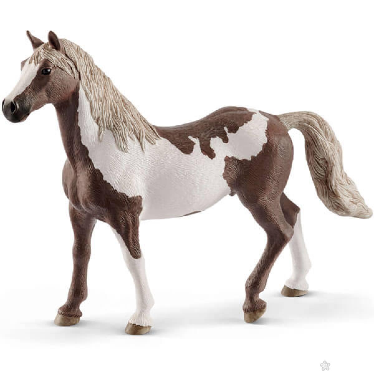 Paint konj pastuv 13885 