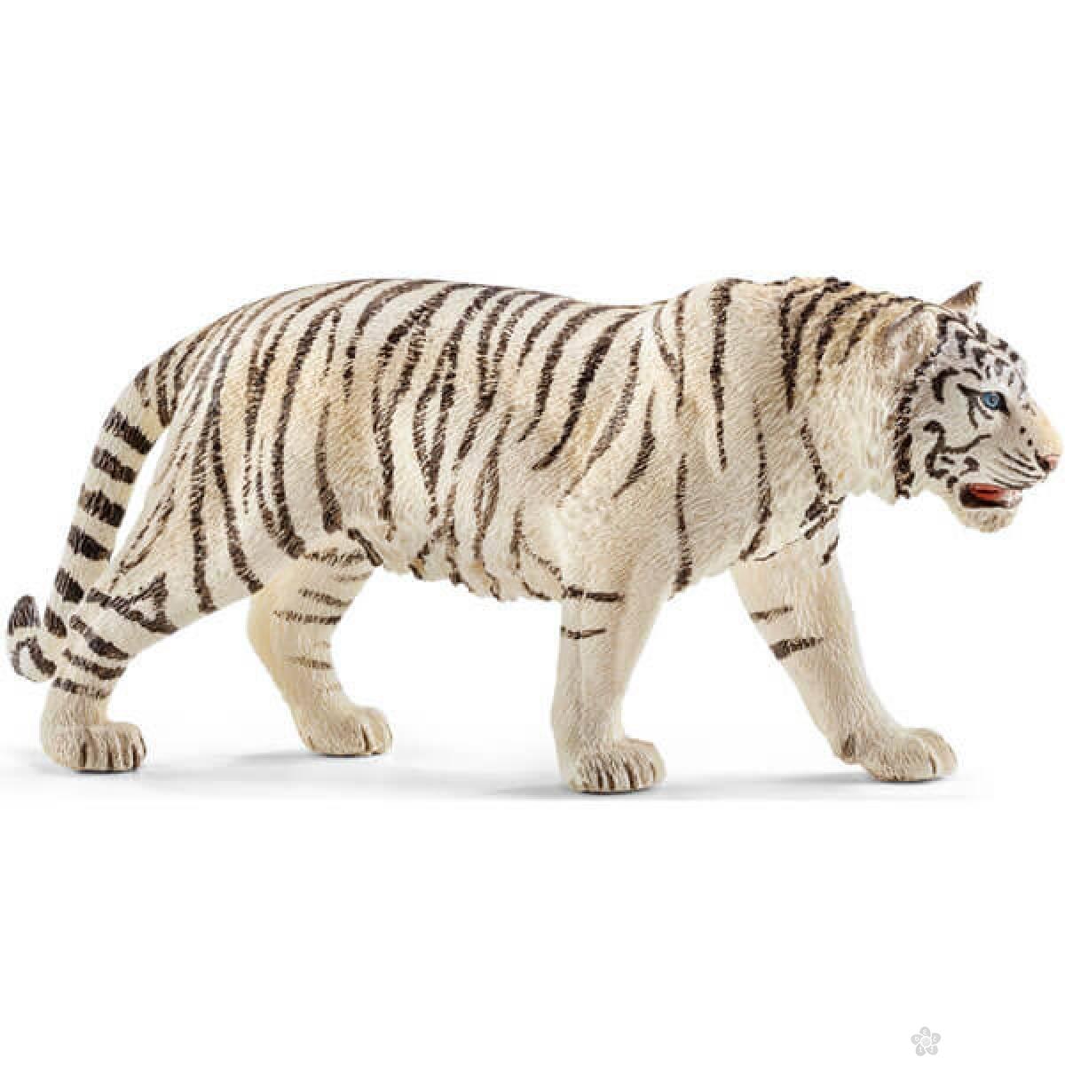 Tigar, beli 14731 
