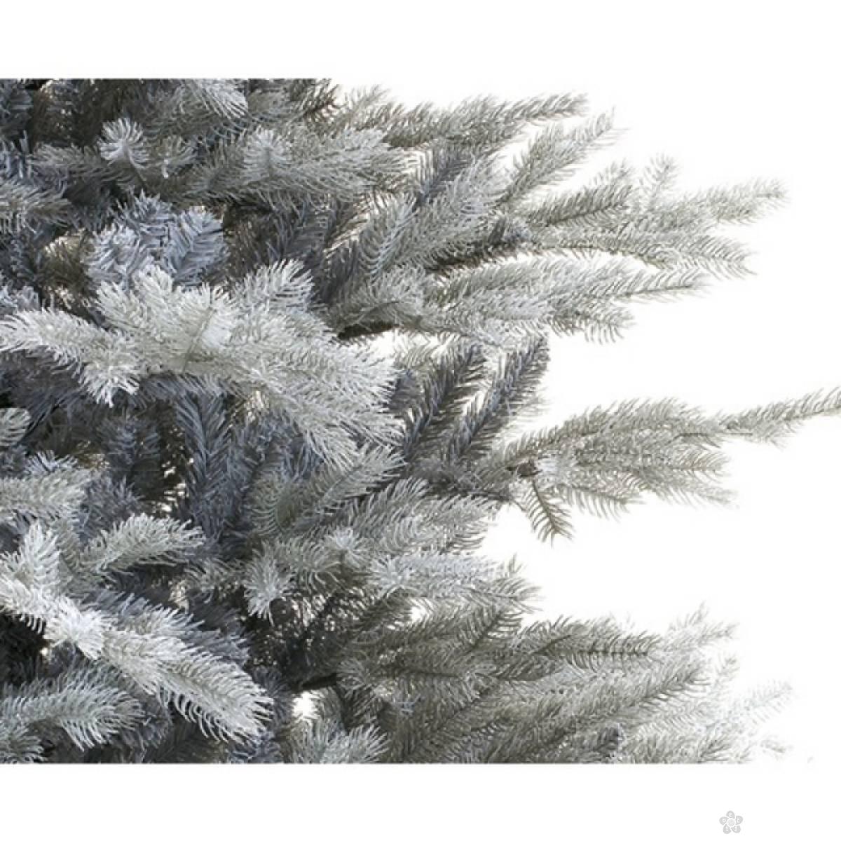 Novogodišnja jelka Frosted Grandis Fir 210cm 