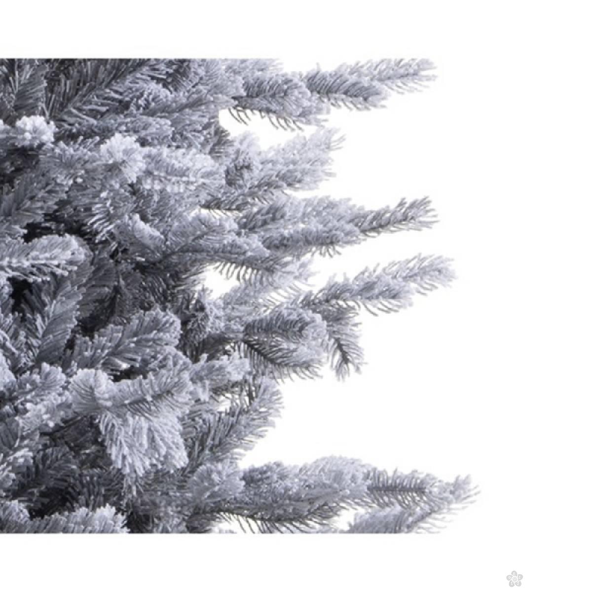 Novogodišnja jelka Frosted Grandis Fir 240cm 