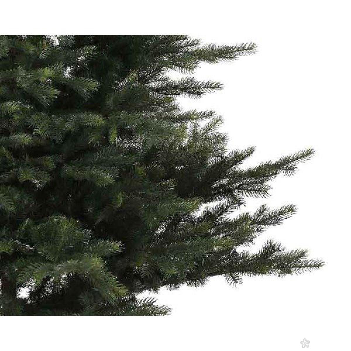 Novogodišnja jelka Grandis Fir 150cm 